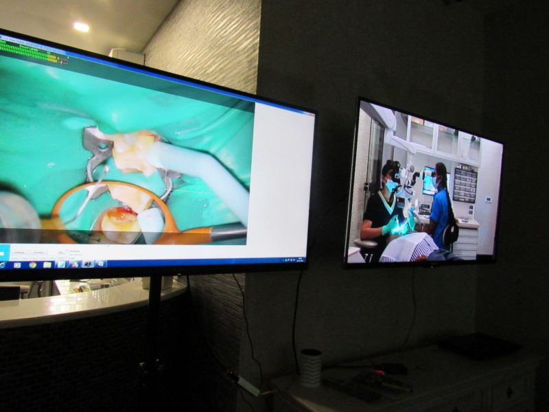 Microscope Primer Course - Live Demo