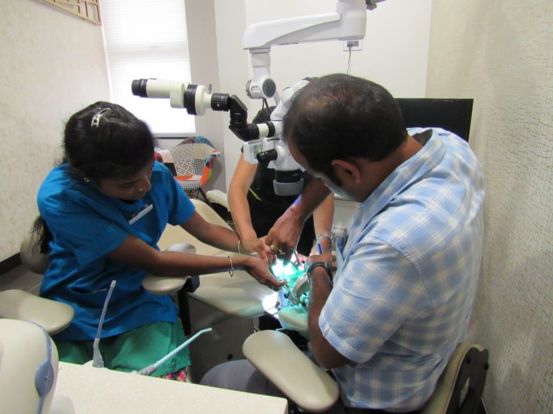 Microscope Primer Course - Practical 4